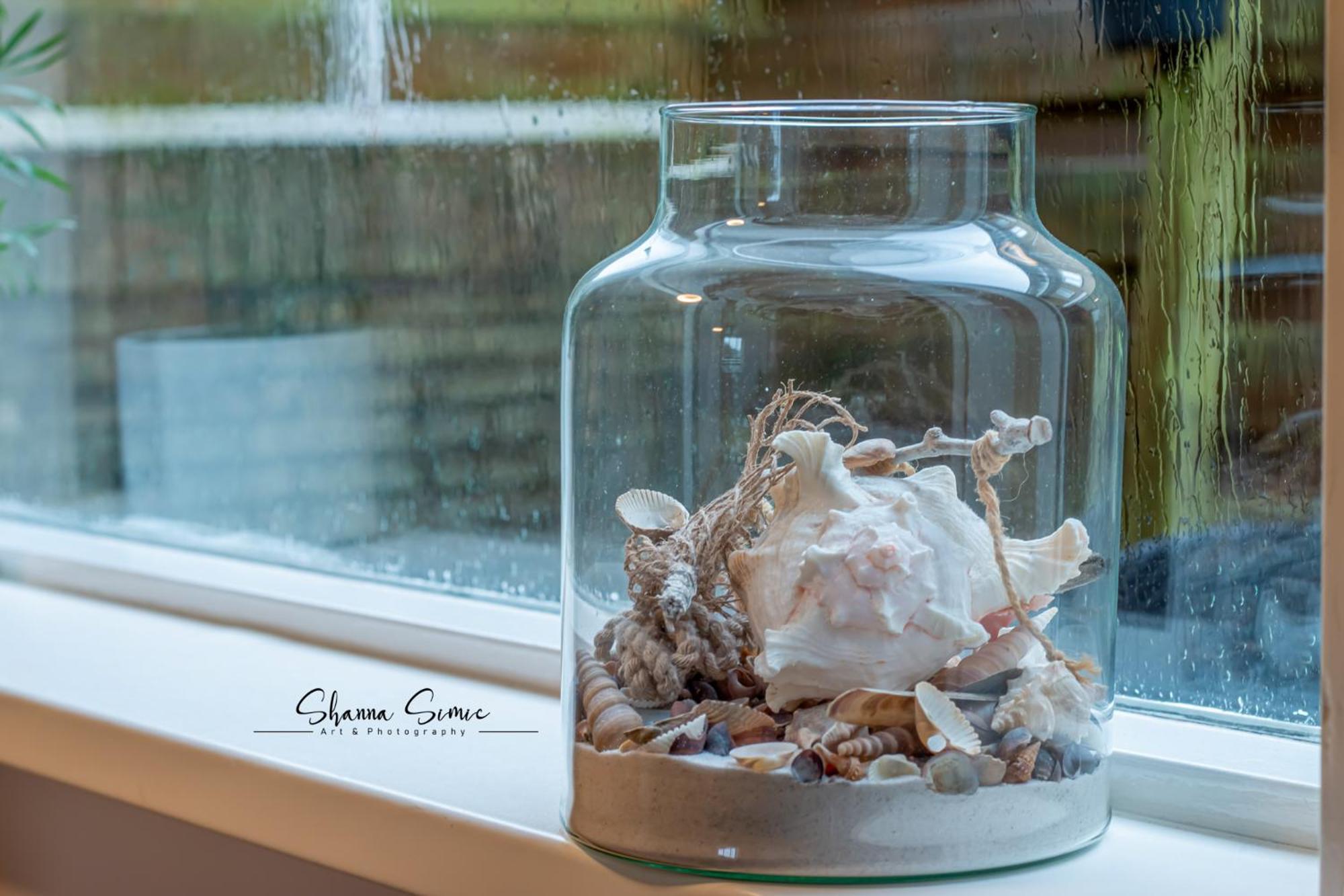 Carpe Diem Egmond Aan Zee By Urban Home Stay Esterno foto